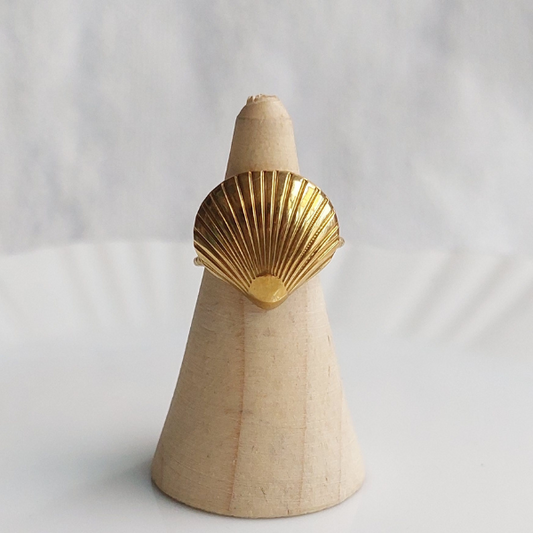 Anillo Concha