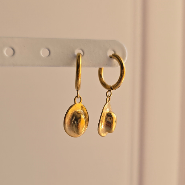 Aretes Chihuahua