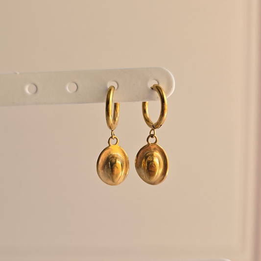 Aretes Chihuahua