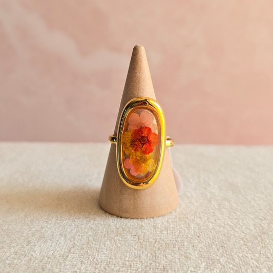 Anillo Dina
