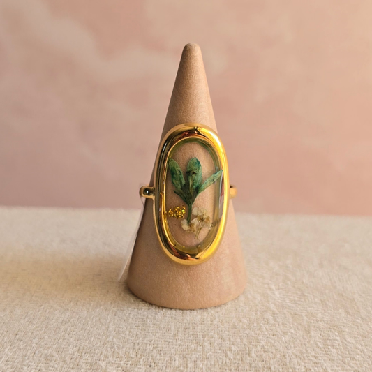 Anillo Débora